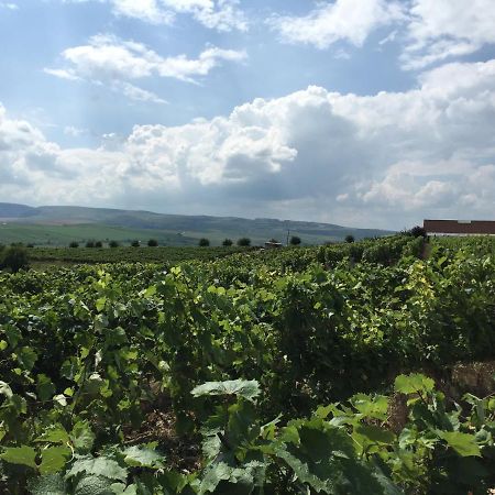 Wineyards Salin Bed & Breakfast Turda Eksteriør bilde