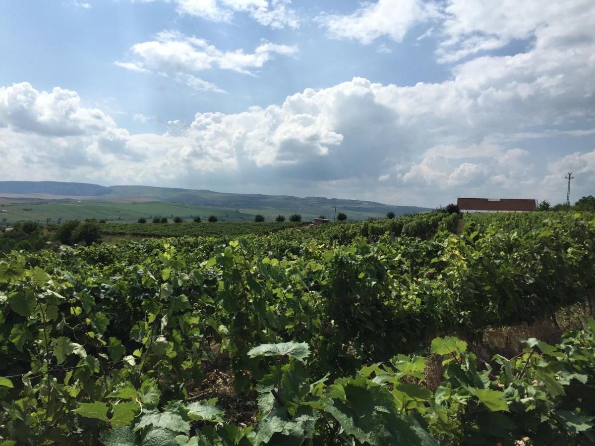 Wineyards Salin Bed & Breakfast Turda Eksteriør bilde