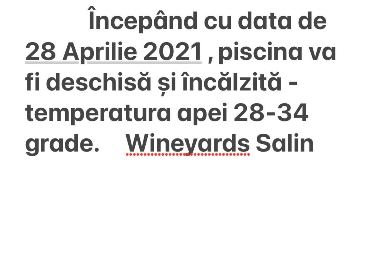 Wineyards Salin Bed & Breakfast Turda Eksteriør bilde