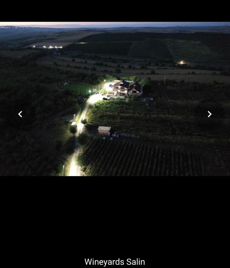 Wineyards Salin Bed & Breakfast Turda Eksteriør bilde