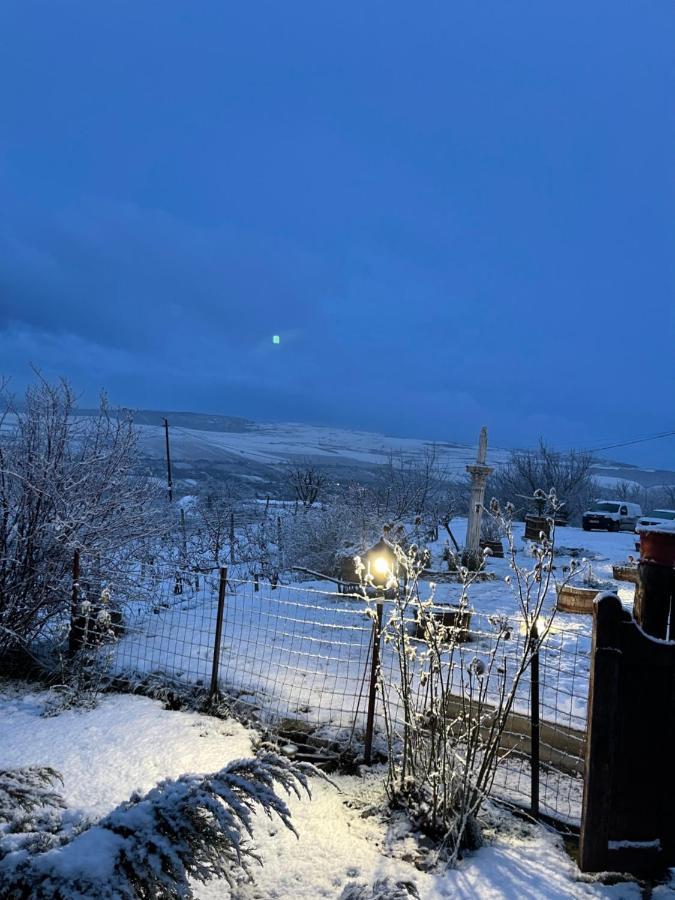 Wineyards Salin Bed & Breakfast Turda Eksteriør bilde