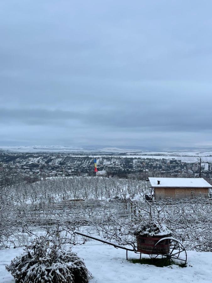 Wineyards Salin Bed & Breakfast Turda Eksteriør bilde